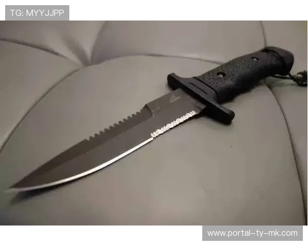 年龄与经验：格斗比赛中的双刃剑